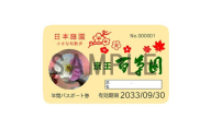 京王百草園年間パスポート　1枚【1452571】