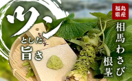 ツンとした旨さ 相馬わさび（根茎） 1本  薬味 野菜 食品 FAI-0030