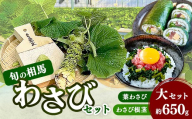 旬の相馬 相馬わさびセット 大セット約650g 　  薬味 野菜 食品 FAI-0035