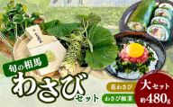 旬の相馬 相馬わさびセット 大セット 約480g  薬味 野菜 食品 FAI-0036