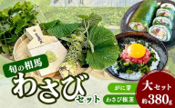 旬の相馬 相馬わさびセット 大セット 約380g  薬味 野菜 食品 FAI-0037