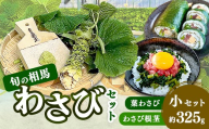 旬の相馬 相馬わさび 小セット 約325g  薬味 野菜 食品 FAI-0039