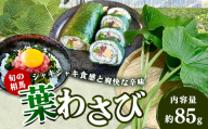 旬の相馬 葉わさび 約85g  薬味 野菜 食品 FAI-0042
