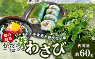 旬の相馬 がに芽わさび 約60g  薬味 野菜 食品 FAI-0044