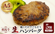相馬牛 生ハンバーグ  A5ランク 焼くだけでごちそう 5個 FAI-0119