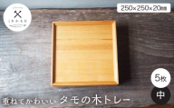 重ねてかわいい タモの木トレー 中 5枚入り FAG-0186