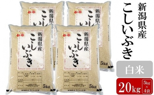 お米と共に200年の松村商店直送！ こしいぶき 白米 20kg（5kg×4袋）