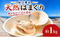 はまぐり 約1kg 鹿島灘産 砂抜き済み 茨城県 鹿島灘産 ハマグリ 天然はまぐり 蛤 海鮮 水産加工品 水産品 海産物 魚 貝 はまぐり ハマグリ 活はまぐり 蛤 焼き蛤 焼きはまぐり はまぐり だし 出汁 味噌汁 酒蒸し お吸い物 網焼き バーベキュー BBQ 貝 魚貝 冷蔵 縁起物 酒蒸し お吸い物 鹿島灘 ふるさと納税 茨城県 鹿嶋市