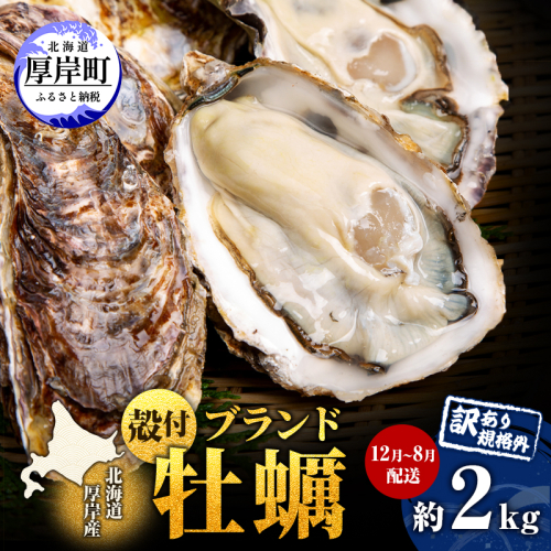 訳あり ハーフ 規格外 牡蠣 北海道厚岸産 殻付カキ 約2kg（11～25個）カキナイフ付 生食 魚貝類 生牡蠣 かき 生カキ カキフライ マルえもん いびつな形 四季によって違う味わい コクがあり濃厚 2828105 - 北海道厚岸町