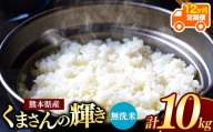 【 新米予約 】【 定期便12回 】令和8年産 熊本県産 くまさんの輝き 無洗米 10kg |  熊本 和水町 小分け 5kg 単位 5kg 10kg 15kg 20kg 25kg 30kg 熊本県 熊本 くまもと  単一米 単一原料米 こめ 米 ごはん 銘柄米 日本遺産 返礼品