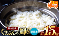【 新米予約 】【 定期便12回】令和8年産 熊本県産 くまさんの輝き 無洗米 15kg |  熊本 和水町 小分け 5kg 単位 5kg 10kg 15kg 20kg 25kg 30kg 熊本県 熊本 くまもと  単一米 単一原料米 こめ 米 ごはん 銘柄米 日本遺産 返礼品