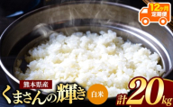 【 新米予約 】【 定期便12回 】令和8年産 熊本県産 くまさんの輝き 白米 20kg |  熊本 和水町 小分け 5kg 単位 5kg 10kg 15kg 20kg 25kg 30kg 熊本県 熊本 くまもと  単一米 単一原料米 こめ 米 ごはん 銘柄米 日本遺産 返礼品