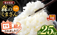 【 新米予約 】【定期便 6回 】令和8年産 熊本県産 森のくまさん 白米 25kg |  熊本 和水町 小分け 5kg 単位 5kg 10kg 15kg 20kg 25kg 30kg 熊本県 熊本 くまもと  単一米 単一原料米 こめ 米 ごはん 銘柄米 日本遺産 返礼品