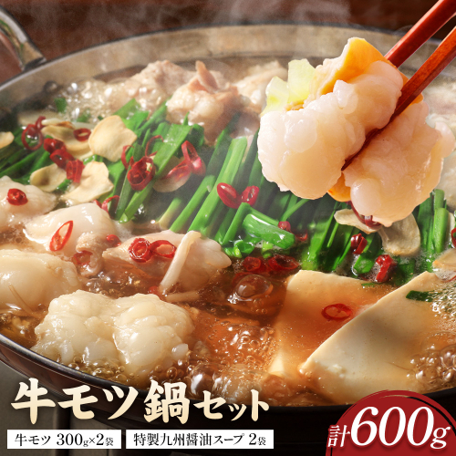牛モツ鍋セット 2パック 焼肉レストラン食道園 牛モツ鍋 牛もつ《90日以内に出荷予定(土日祝除く)》 もつ鍋 モツ鍋 モツ3種 シマ腸 マル腸 小腸 モツ もつ 鍋 九州醤油 しょうゆベース 醤油ベース 鍋パ 鍋パーティー 贈答品 送料無料 北海道 日高町 2828622 - 北海道日高町