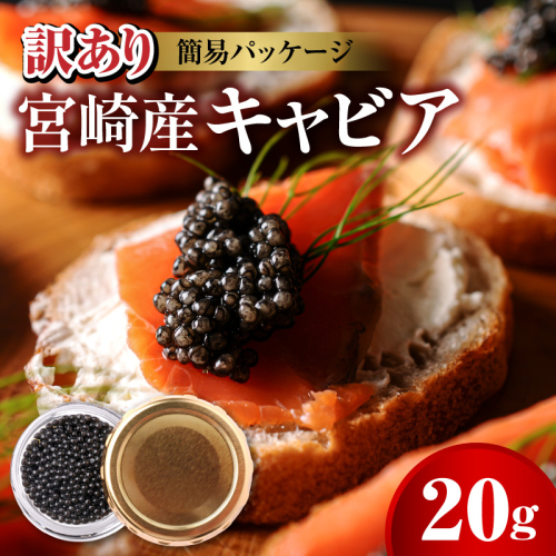世界三大珍味　本格熟成キャビア　宮崎産キャビア　20g　お試し　訳あり　簡易パッケージ　N027-YB365 2828763 - 宮崎県延岡市
