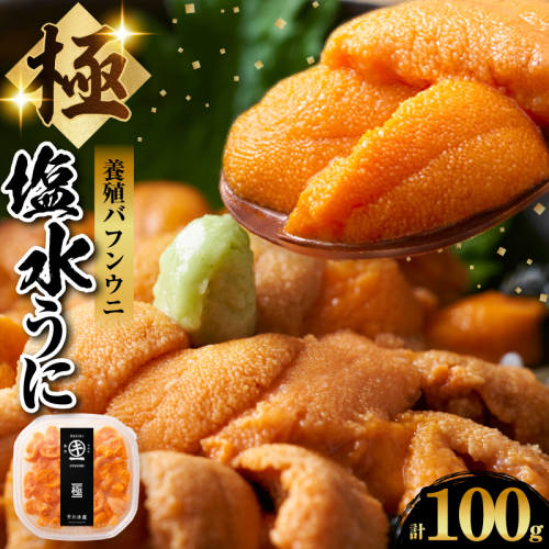 養殖エゾバフンウニ(塩水パック)100g_H0009-115 2828869 - 北海道浜中町