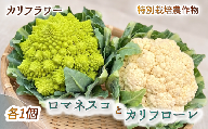 【予約受付】 27年度 カリフラワー ロマネスコ と カリフローレ 特別栽培 産地直送 農家直送 美味しい かりふらわー 旬 富士山 湧水 で つくる 野菜 お野菜 やさい 新鮮 静岡県 沼津市 やまひろ農園