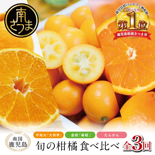 南国の恵み 旬の柑橘食べ比べ（全3回お届け）★2027年1～3月お届け★ 果物 フルーツ 柑橘 蜜柑 みかん 不知火 しらぬい 金柑 きんかん 春姫 たんかん 定期配送 定期便 ブランド 常温 JA南さつま 南さつま市 2828959 - 鹿児島県南さつま市