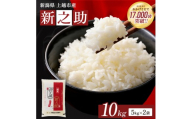 【1月上旬配送】令和8年産 上越市産 新潟 新之助 10kg しんのすけ お米 精米 米 ご飯 大黒屋商店