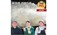 令和8年 新潟県産 特別栽培米 新米 コシヒカリ 5kg 5キロ上越市清里区 新潟 精米 従来品種 希少 限定 送料無料 丸山農場