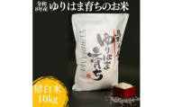 333M.ゆりはま育ちのお米◇精白米10kg◇令和8年産