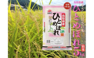 347M.鳥取県産ひとめぼれ◇精米5kg◇令和8年産