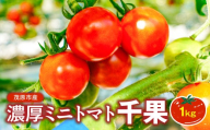 濃厚ミニトマト1kg千果　ミニトマト トマト とまと リコピン 甘い 新鮮 国産 送料無料 茂原市 千葉県 ふるさと納税 MBBG001