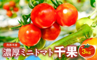濃厚ミニトマト3kg千果　ミニトマト トマト とまと リコピン 甘い 新鮮 国産 送料無料 茂原市 千葉県 ふるさと納税 MBBG002