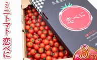 先行予約 ミニトマト 恋べに 3kg 【2027年1月中旬～3月下旬頃順次発送予定】トマト プチトマト とまと 野菜 青果 産地直送 新鮮 濃厚 旨み 果汁 厳選 家庭用 お取り寄せ ご褒美 贅沢 サラダ 国産 九州 熊本 熊本県 宇城市 JA熊本うき