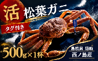 【先行販売】【ふるさと納税】松葉ガニ〈活〉松葉ガニ マツバガニ タグ付き＜11月中旬～2月中旬頃発送予定＞500g 1杯