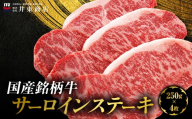 国産銘柄牛サーロインステーキ　250g×4枚　MBBQ005