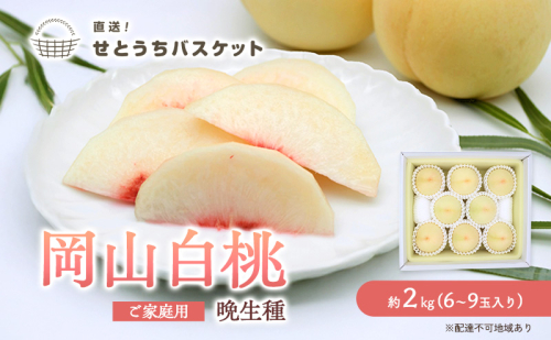 桃 2027年 先行予約 岡山 白桃（晩生種）ご家庭用 約2kg 6～9玉入り もも モモ 岡山県産 国産 フルーツ 果物 直送！せとうちバスケット こだわり 特産品 白い 香り 果汁 シーズン 高糖度 2830932 - 岡山県高梁市