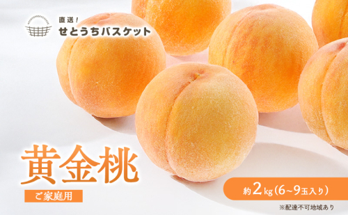桃 2027年 先行予約 岡山 黄金桃 ご家庭用 約2kg 6～9玉入り もも モモ 岡山県産 国産 フルーツ 果物 直送！せとうちバスケット スイーツ こだわり 特産品 白い 香り 果汁 シーズン 濃厚 2830933 - 岡山県高梁市