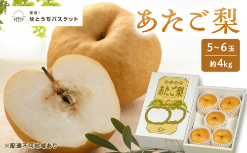 梨 2027年 先行予約 あたご梨 5～6玉 約4kg ナシ なし 岡山県産 国産 フルーツ 果物 直送！せとうちバスケット 2830936 - 岡山県高梁市