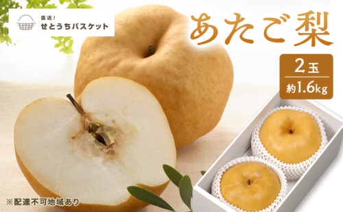 梨 2027年 先行予約 あたご梨 2玉 約1.6kg ナシ なし 岡山県産 国産 フルーツ 果物 直送！せとうちバスケット 2830937 - 岡山県高梁市