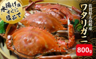 【数量限定】有明海からの贈り物 竹崎かに 800g / 渡り蟹 カニ 蟹味噌 海鮮 / 佐賀県 / 宗徳丸 [41ATAF001]