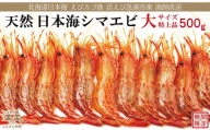 北海道江差産 違いが分かる天然日本海シマエビ 大サイズ 500g 色鮮やかで香りよし 濃厚な甘み 食べれば分かる格別の味! エビかご漁師直送 天然えび 最良品厳選 生食可 お刺身 天ぷら エビフライ