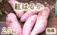 【 2026年 11月より順次発送 】 【訳あり】 紅はるか さつまいも 2.5kg 生 先行予約 成熟 芋 いも サツマイモ 富士山 水 育った 土付き 不揃い 静岡県 沼津市