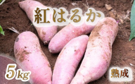【 2026年 11月より順次発送 】 【訳あり】 紅はるか さつまいも 5kg 予約受付 生 成熟 芋 いも サツマイモ 富士山 水 育った 土付き 不揃い 静岡県 沼津市