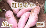 【 2026年 11月より順次発送 】 【訳あり】 紅はるか さつまいも 10kg 予約受付 生 成熟 芋 いも サツマイモ 富士山 水 育った 土付き 不揃い 静岡県 沼津市