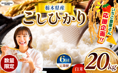【定期6回】数量 限定 訳あり 定期便 令和8年度 栃木県産 コシヒカリ 約 20kg | 数量限定 こしひかり 精米 白米 米 ごはん おいしい okome kome お米 コシヒカリ ふるさと納税 那珂川町 栃木県【栃木県共通返礼品】 2831473 - 栃木県那珂川町