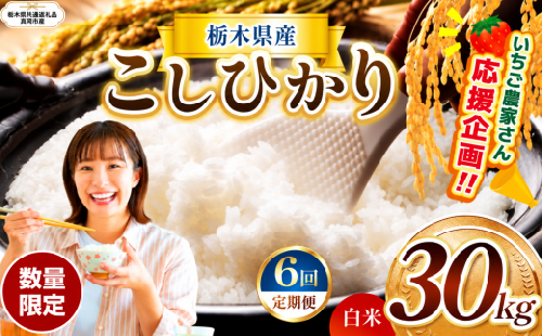 【定期6回】数量 限定 訳あり 定期便 令和8年度 栃木県産 コシヒカリ 約 30kg | 数量限定 こしひかり 精米 白米 米 ごはん おいしい okome kome お米 コシヒカリ ふるさと納税 那珂川町 栃木県【栃木県共通返礼品】 2831474 - 栃木県那珂川町