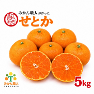 【先行予約】訳あり せとか 5kg 柑橘の大トロ かんきつ みかん 柑橘 みかん 蜜柑 完熟みかん おやつ 家庭用みかん 箱入りみかん ご家庭用みかん 果物 くだもの 果実 愛媛県 愛南町 みかん職人武田屋