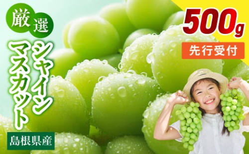 【先行予約】【数量限定】島根県産 シャインマスカット 500g 【215_0001】 2831625 - 島根県浜田市