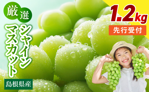 【先行予約】【数量限定】島根県産 シャインマスカット 1.2kg 【215_0003】 2831628 - 島根県浜田市