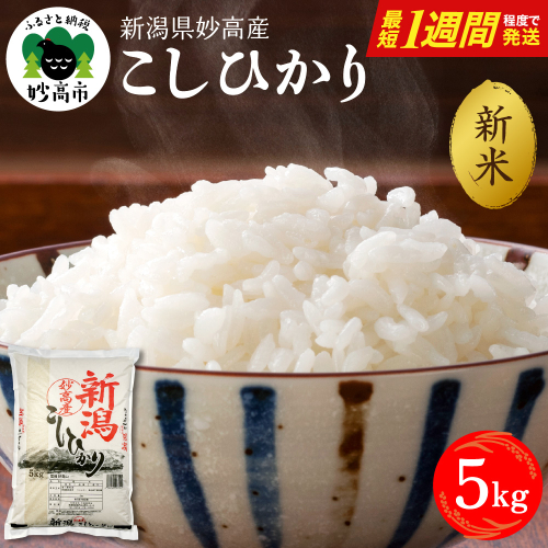 【最短1週間程度発送】令和8年産 新潟県妙高産こしひかり5kg 2831630 - 新潟県妙高市