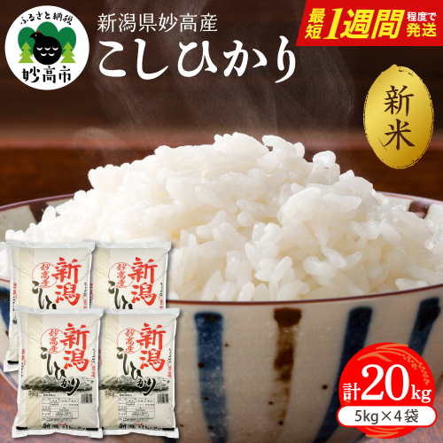 【最短1週間程度発送】令和8年産 新潟県妙高産こしひかり20kg 2831633 - 新潟県妙高市
