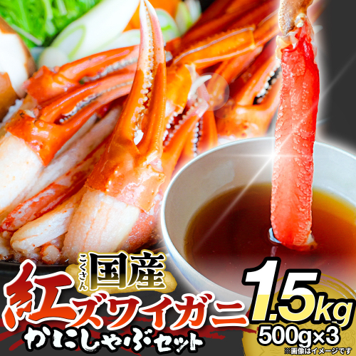 【先行予約】かに しゃぶしゃぶ 紅ズワイガニ 1.5kg 国産 カニしゃぶ 鍋セット 冷凍 ポーション ギフト 年末年始 魚介 富山県 氷見市 2831658 - 富山県氷見市