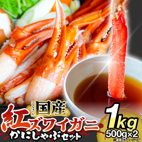 【先行予約】かに しゃぶしゃぶ 紅ズワイガニ 1kg 国産 カニしゃぶ 鍋セット 冷凍 ポーション ギフト 年末年始 魚介 富山県 氷見市 2831659 - 富山県氷見市