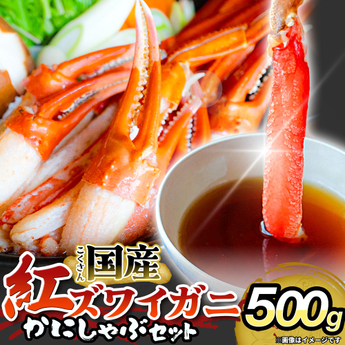 【先行予約】かに しゃぶしゃぶ 紅ズワイガニ 500g 国産 カニしゃぶ 鍋セット 冷凍 ギフト ポーション 年末年始 魚介 富山県 氷見市 2831660 - 富山県氷見市